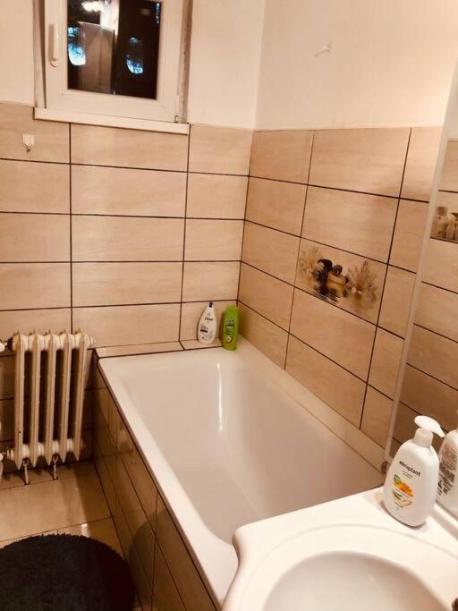 Nice Apt Near Spitalul Judetean, All You Need Lr14 Тимишоара Экстерьер фото