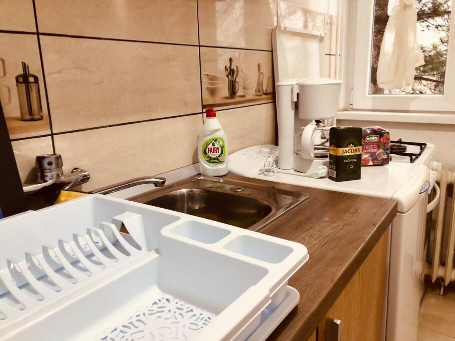 Nice Apt Near Spitalul Judetean, All You Need Lr14 Тимишоара Экстерьер фото