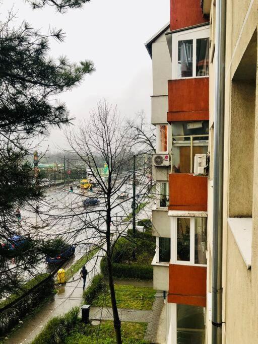 Nice Apt Near Spitalul Judetean, All You Need Lr14 Тимишоара Экстерьер фото