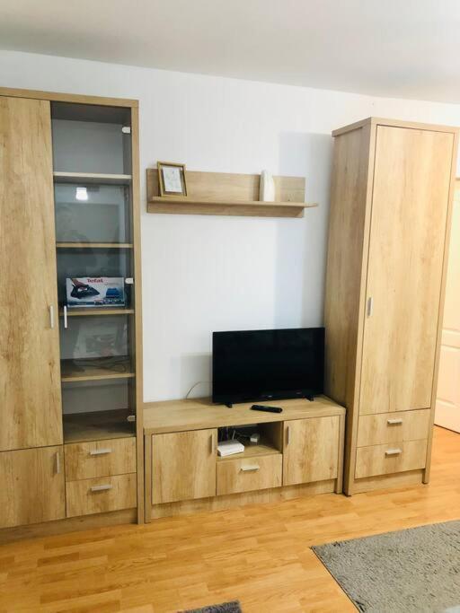 Nice Apt Near Spitalul Judetean, All You Need Lr14 Тимишоара Экстерьер фото