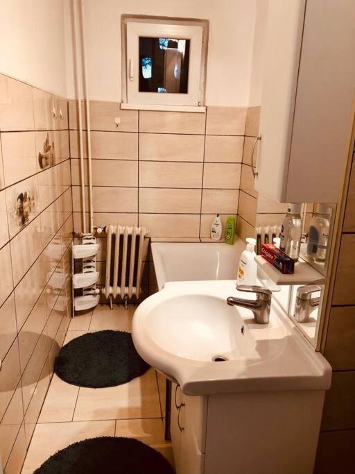 Nice Apt Near Spitalul Judetean, All You Need Lr14 Тимишоара Экстерьер фото