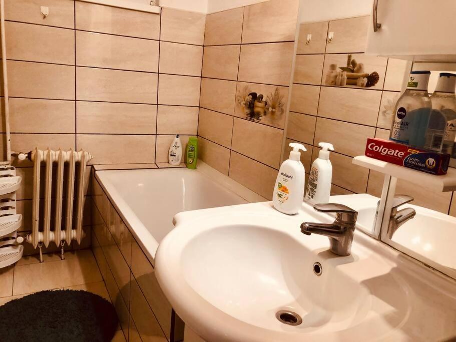 Nice Apt Near Spitalul Judetean, All You Need Lr14 Тимишоара Экстерьер фото