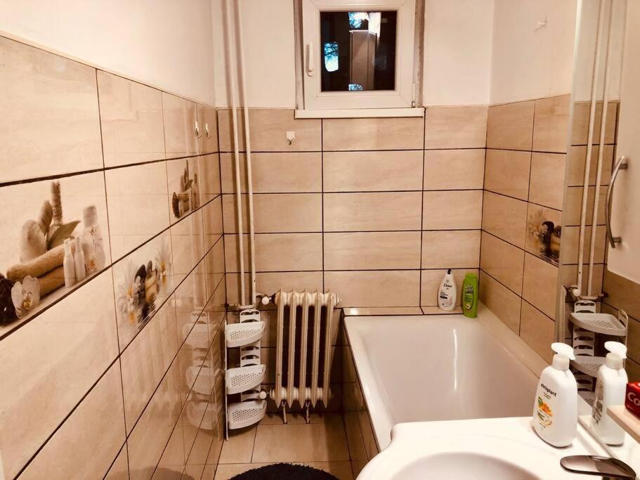 Nice Apt Near Spitalul Judetean, All You Need Lr14 Тимишоара Экстерьер фото