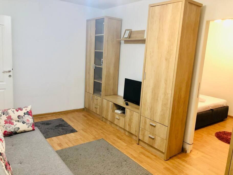 Nice Apt Near Spitalul Judetean, All You Need Lr14 Тимишоара Экстерьер фото